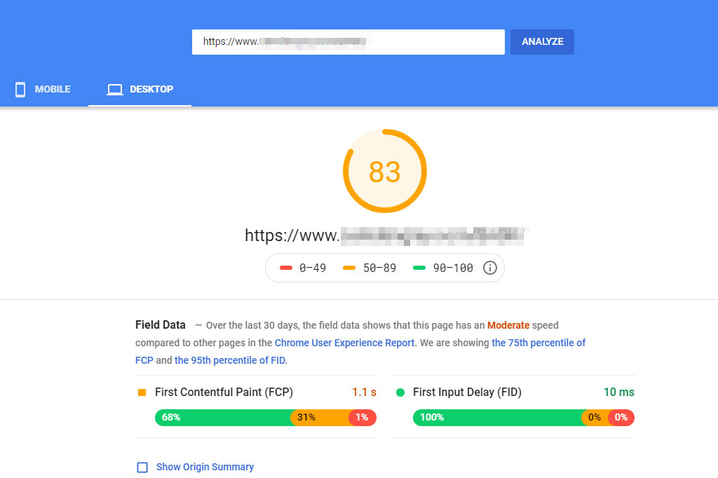 Site speed results from PageSpeed Insights