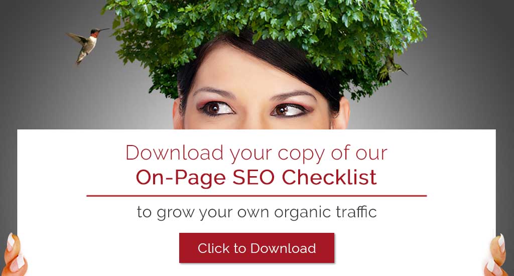 Download On-Page SEO Checklist