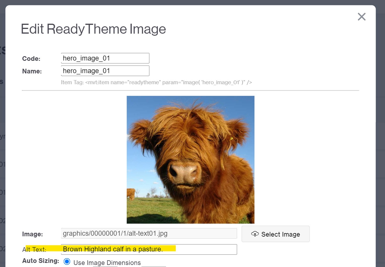 The basics image alt text glendale designs
